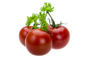 Tomato branch with parsley