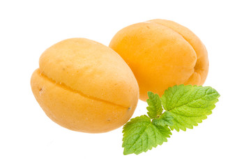 Apricot