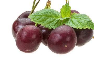 Cherry