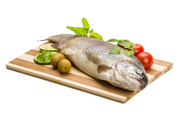 Fresh raw rainbow trout
