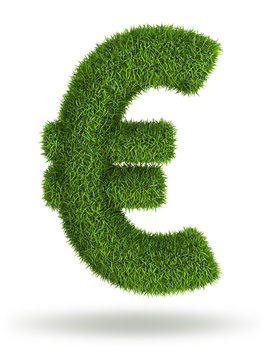 Natural grass Euro
