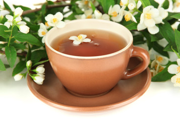 Cup of tea with jasmine, isolated on white