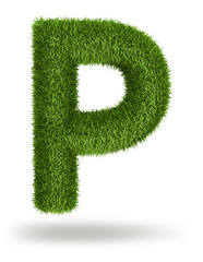 Natural grass letter P © iuneWind