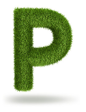 Natural grass letter P