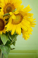 Naklejka premium Sunflowers bouquet