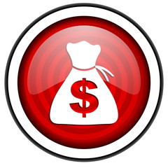 money icon
