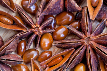 macro view of illicium seeds