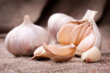 Fragrant garlic on background of coarse cloth