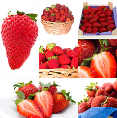 strawberries collage