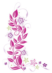 Blätter, Ranke, Blumen, Blüten, lila, pink, grün