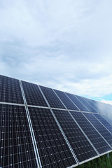 Obraz premium Detail of the Solar Power Station in the summer Nature