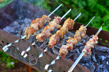 Grilled meat on a skewer