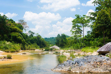 River in jungle