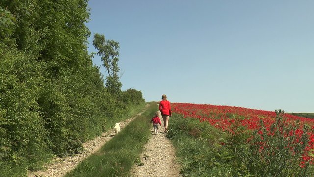 dans les chemins