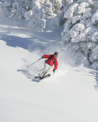Freeride-Traum