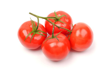 Close-up of tomatoes on the vine