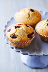 Cranberry Muffins