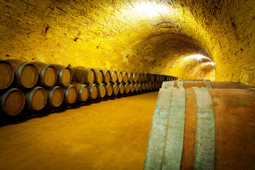 Antique Wine Cellar with Wooden Barrels