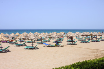 umbrellas on a beach