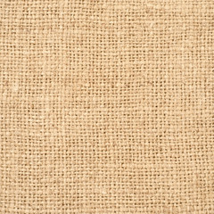 Texture of the burlap