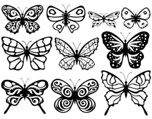 Plakat Butterflies.