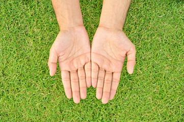 Two hands open above the green grass