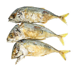 fried mackerel fishes on white background