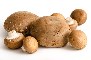 Braune Kulturchampignons