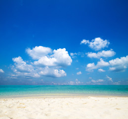 Fototapeta premium tropical sea