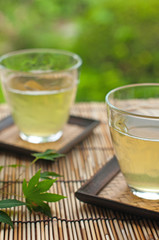 緑茶