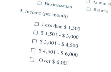 Marketing Survey, Income