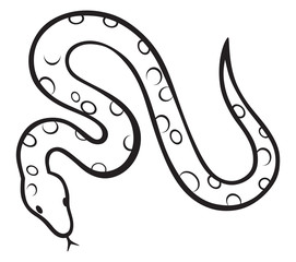 Fototapeta premium Black snake isolated on white background