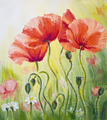 Poppies, oil painting on canvas