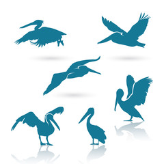 Pelican silhouettes