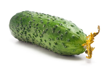 cucumbers