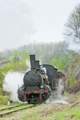 steam locomotive (126.014), Resavica, Serbia