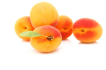 Abricots isolés