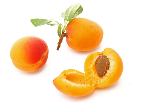 Abricot mûr