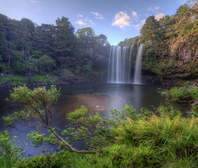 Rainbow Falls, Kerikeri