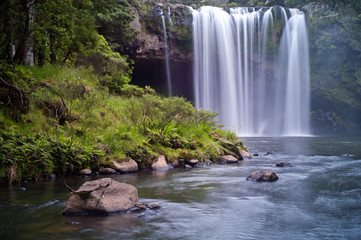 Beautiful Rainbow Falls at Kerikeri, New Zealand