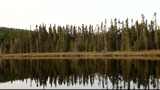 Lac