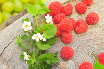 himbeeren