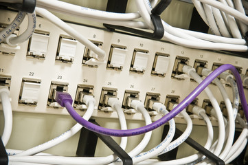ethernet cables on a patch panel