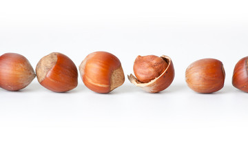 peeled hazelnut among unpeeled, isolated on white background