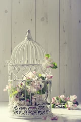 Photo sur Plexiglas Oiseaux en cages Cage à oiseaux