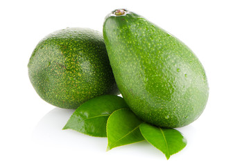 Avocados on white