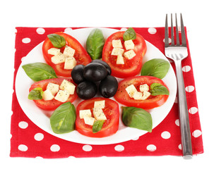 Cheese mozzarella with vegetables in the plate isolated on