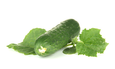 Tasty green cucumbers, isolated on white