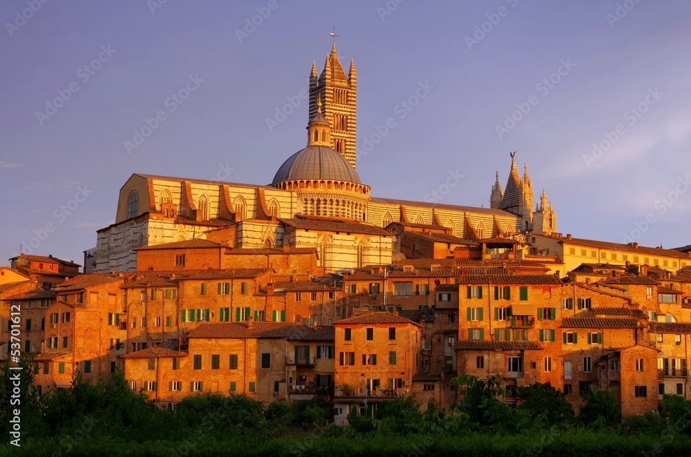 Wall mural Siena 03