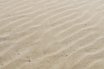 Fototapeta na wymiar Rippled sandy beach for background